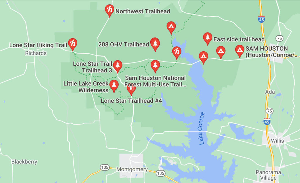 Things to do in Lake Conroe - Hiking in the Sam Houston National Forest